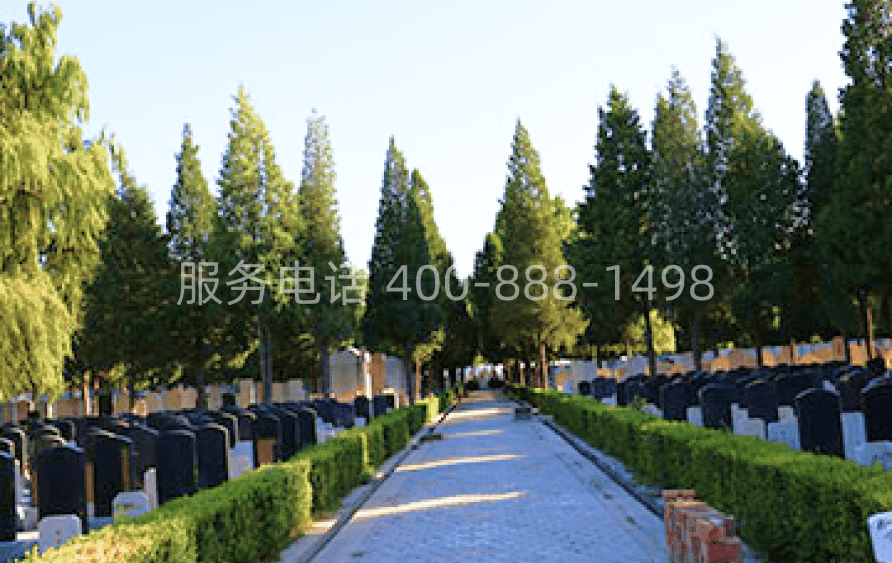 陵园环境